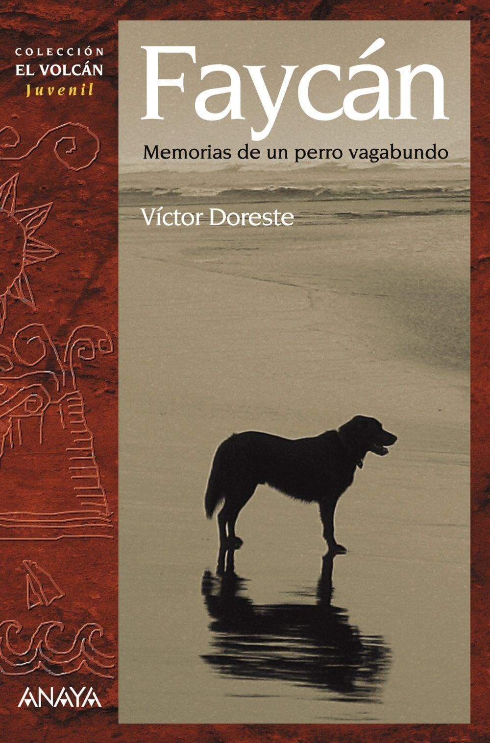 Faycn: Memorias de un perro vagabundo (Spanish Edition),Used