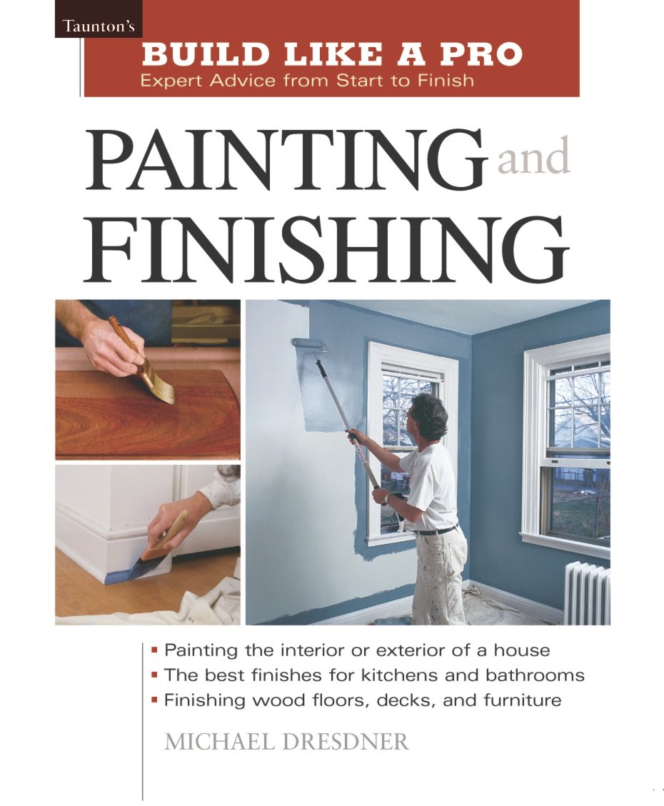 Painting and Finishing (Build Like A Pro),Used