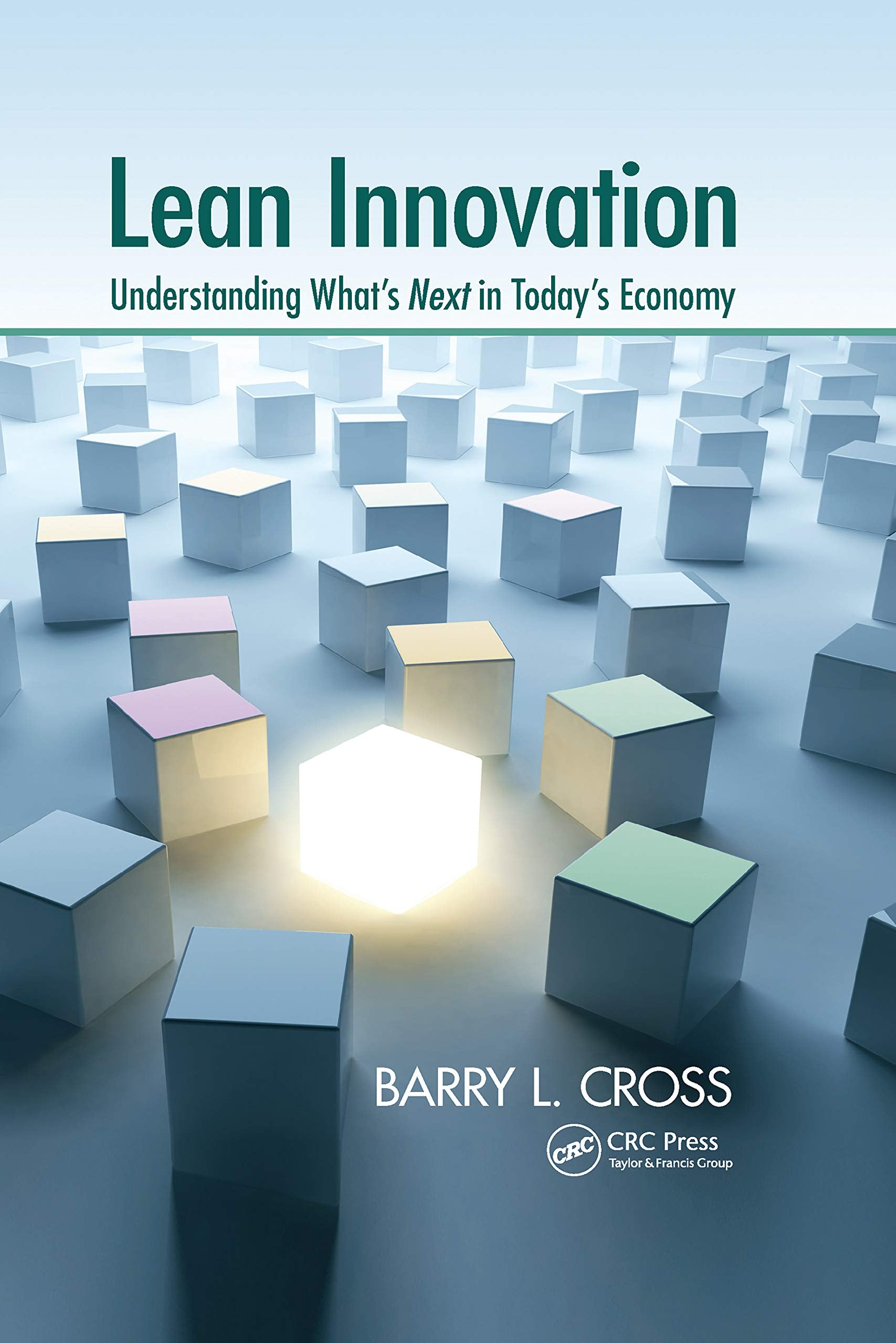 Lean Innovation,Used