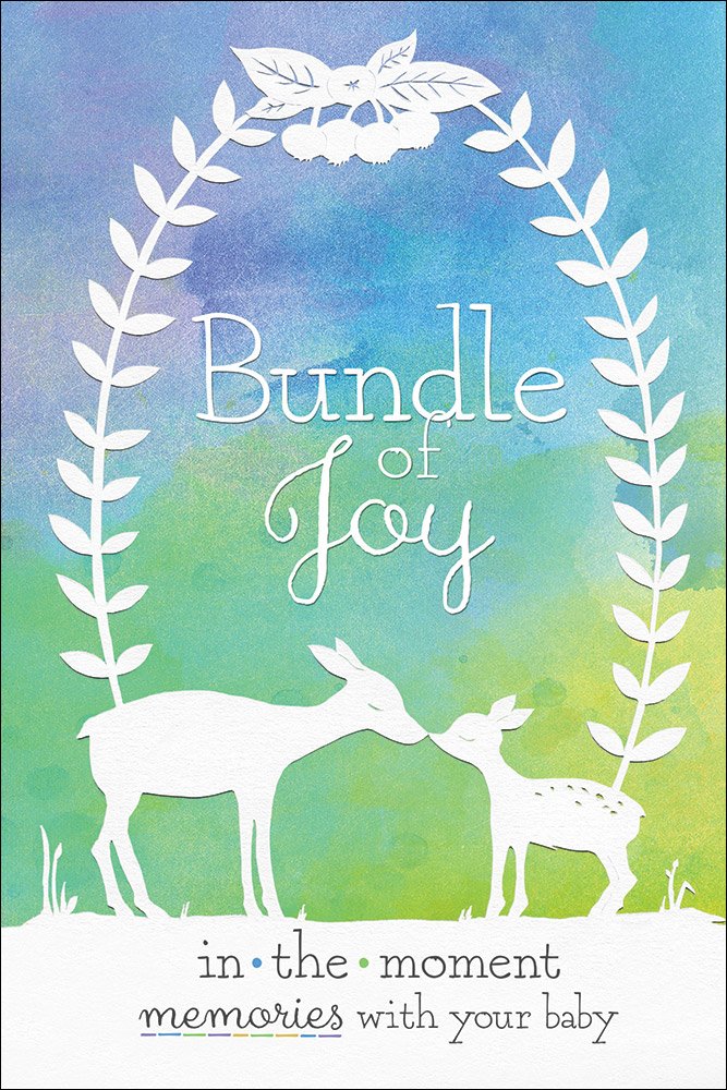 Bundle Of Joy: Inthemoment Memories With Your Baby (Moments That Matter),Used