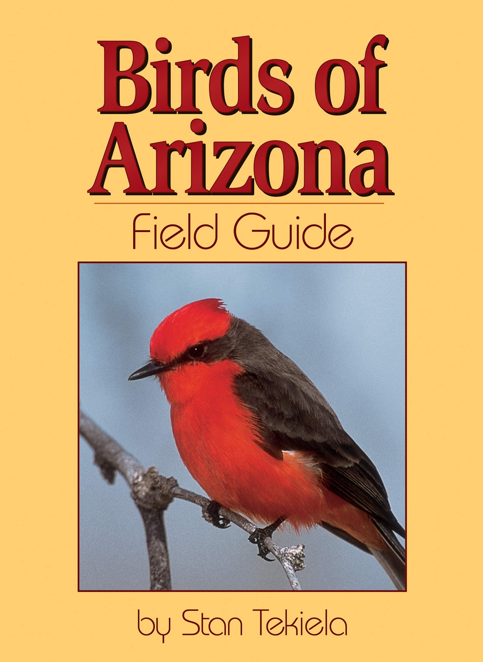 Birds of Arizona Field Guide,New
