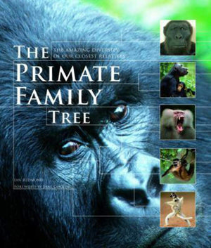 The Primate Family Tree: The Amazing Diversity of Our Closest Relatives,Used
