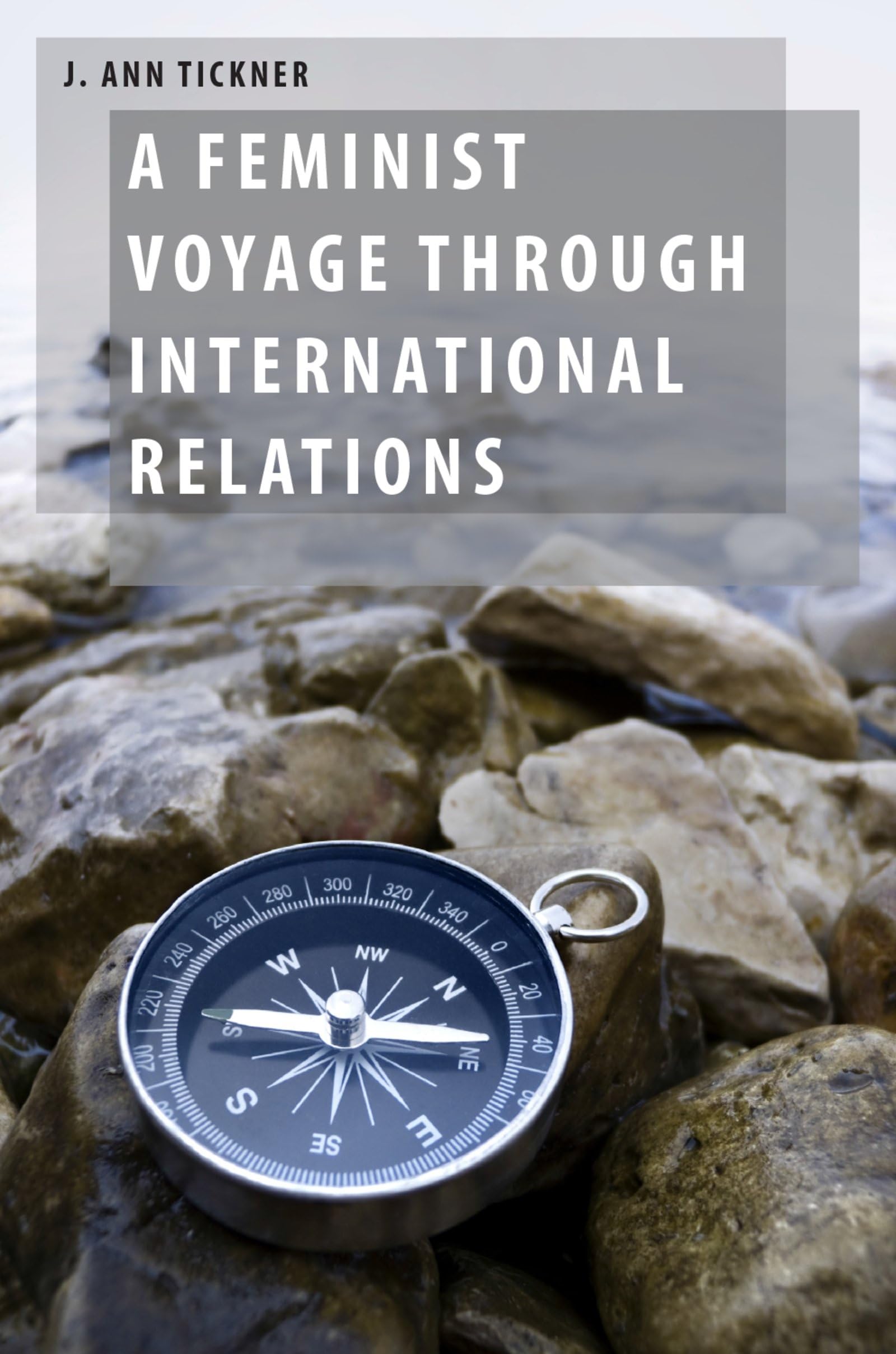 A Feminist Voyage through International Relations (Oxford Studies in Gender and International Relations),Used