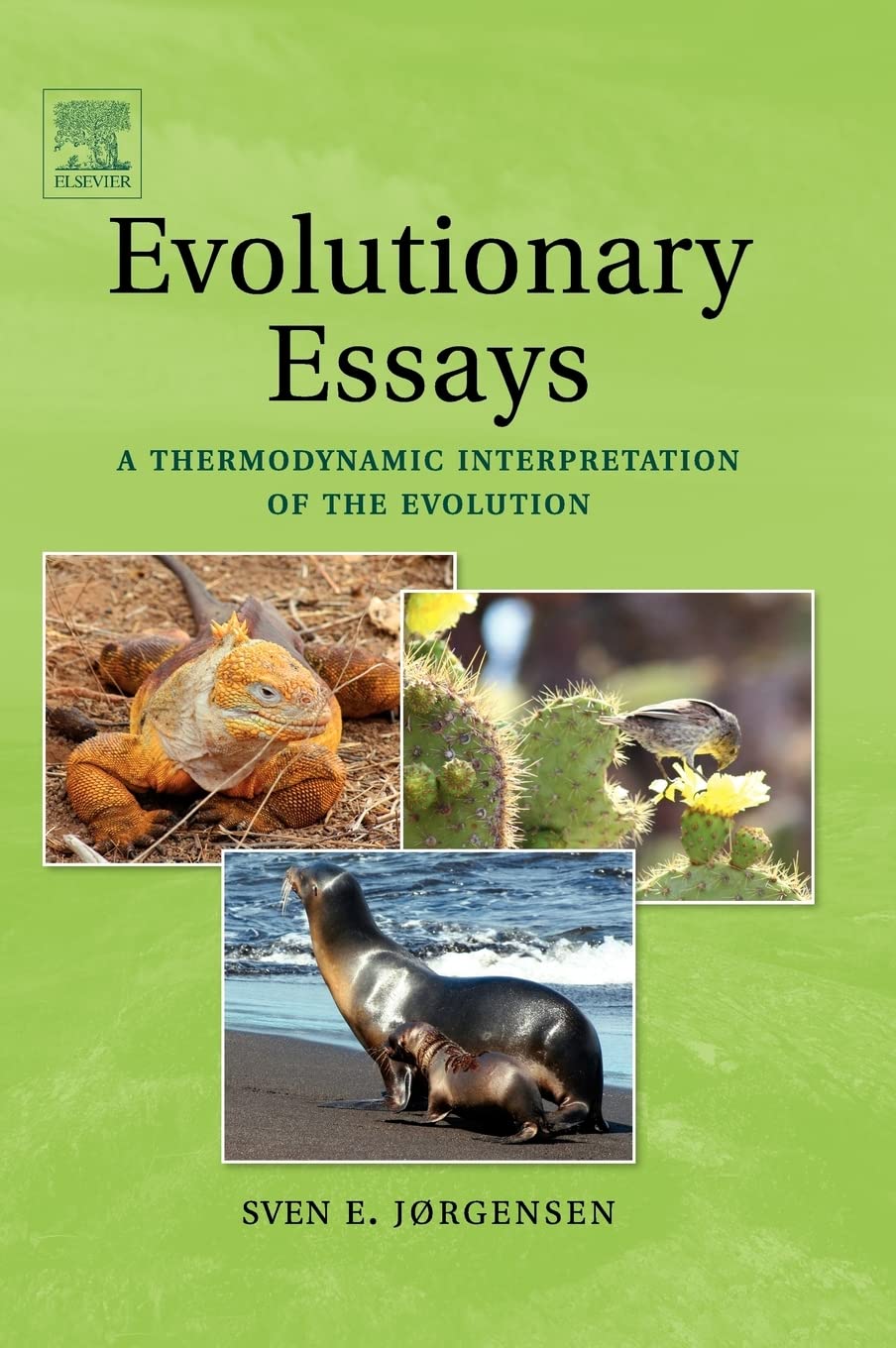 Evolutionary Essays: A Thermodynamic Interpretation Of The Evolution