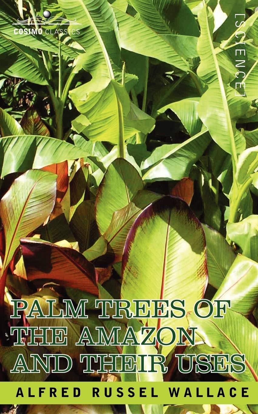 Palm Trees Of The Amazon And Their Uses,Used