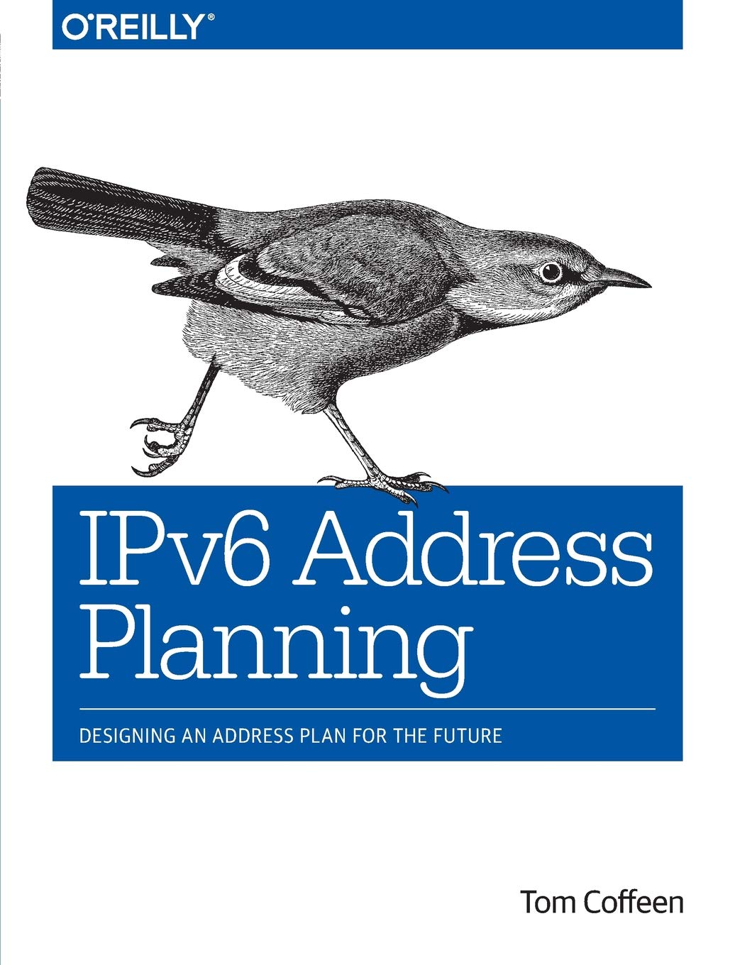 IPv6 Address Planning: Designing an Address Plan for the Future,Used