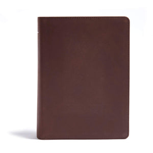 CSB He Reads Truth Bible, Brown Genuine Leather, Black Letter, Wide Margins, Journaling Space, Illustrations, Reading Plans, Sin