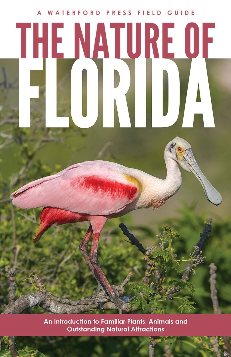 The Nature of Florida: An Introduction to Familiar Plants, Animals & Outstanding Natural Attractions (Field Guides),Used