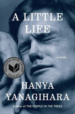 A Little Life: A Novel,Used