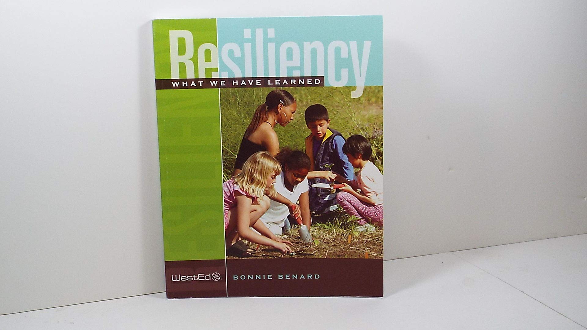 Resiliency: What We Have Learned,Used