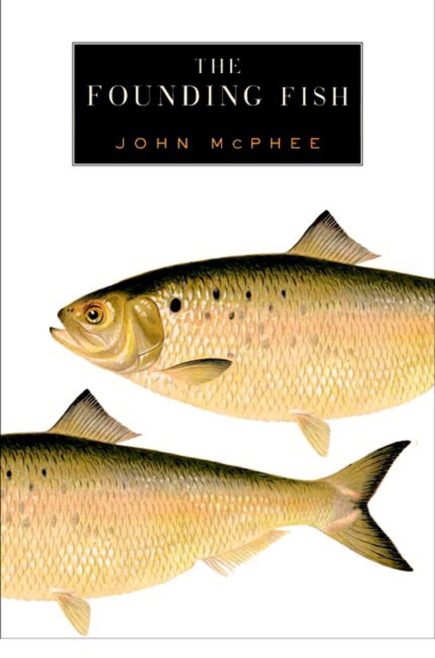 The Founding Fish,Used
