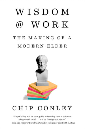 Wisdom At Work: The Making Of A Modern Elder,New