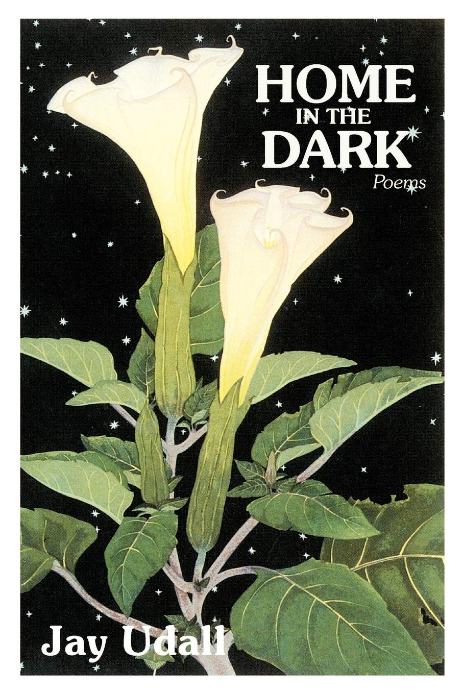 Home In The Dark,New