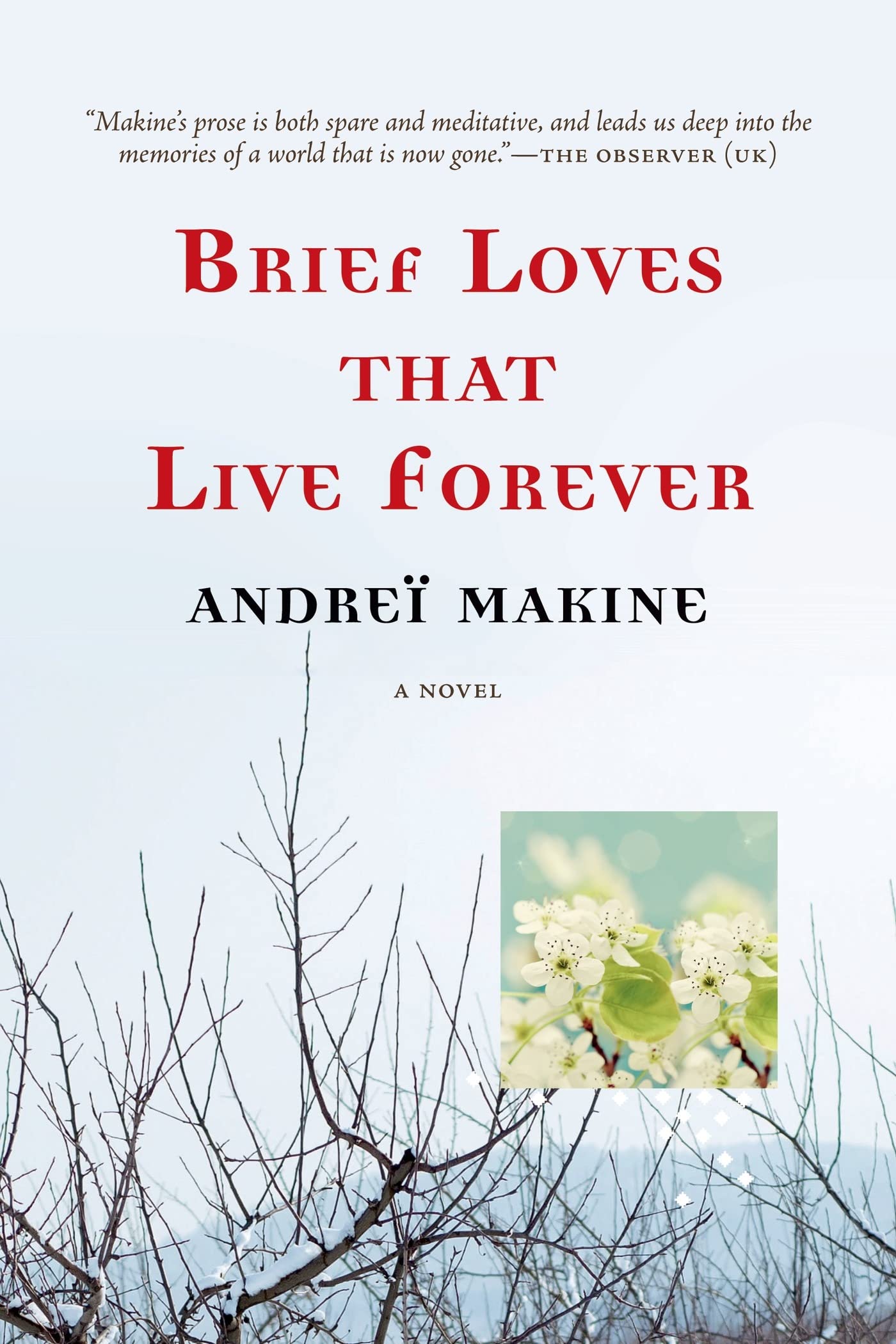 Brief Loves That Live Forever: A Novel,Used