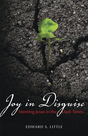 Joy In Disguise: Meeting Jesus In The Dark Times,New