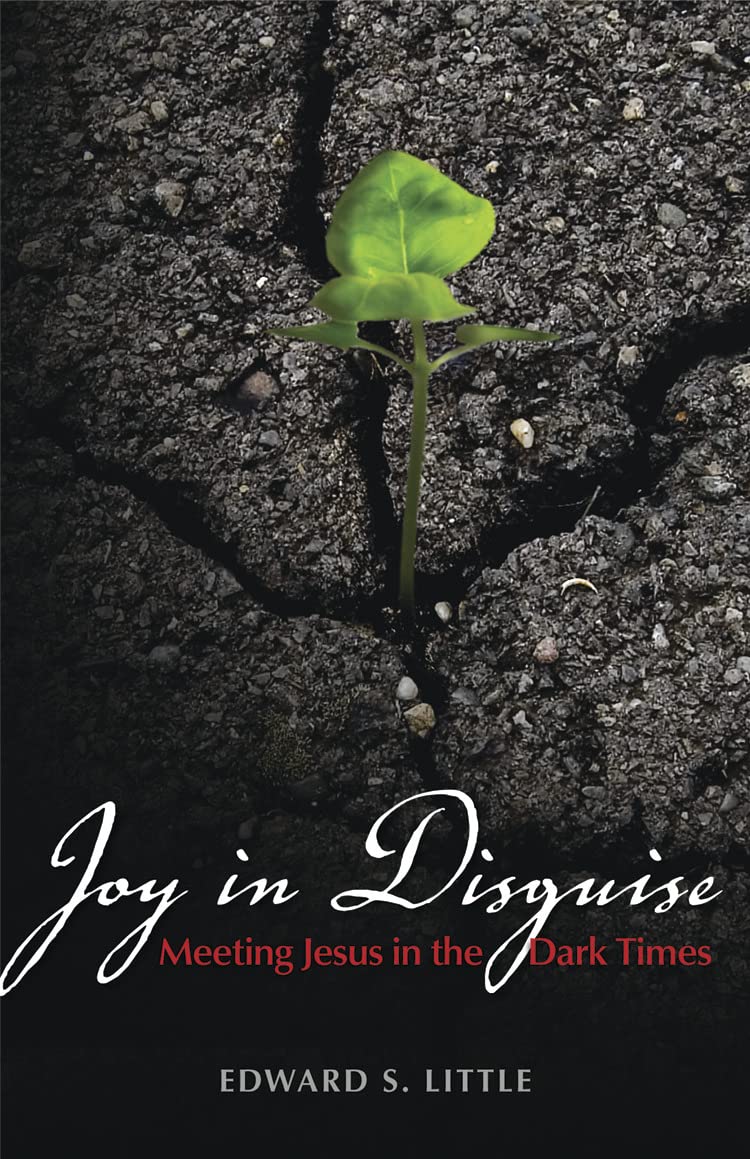 Joy In Disguise: Meeting Jesus In The Dark Times,Used