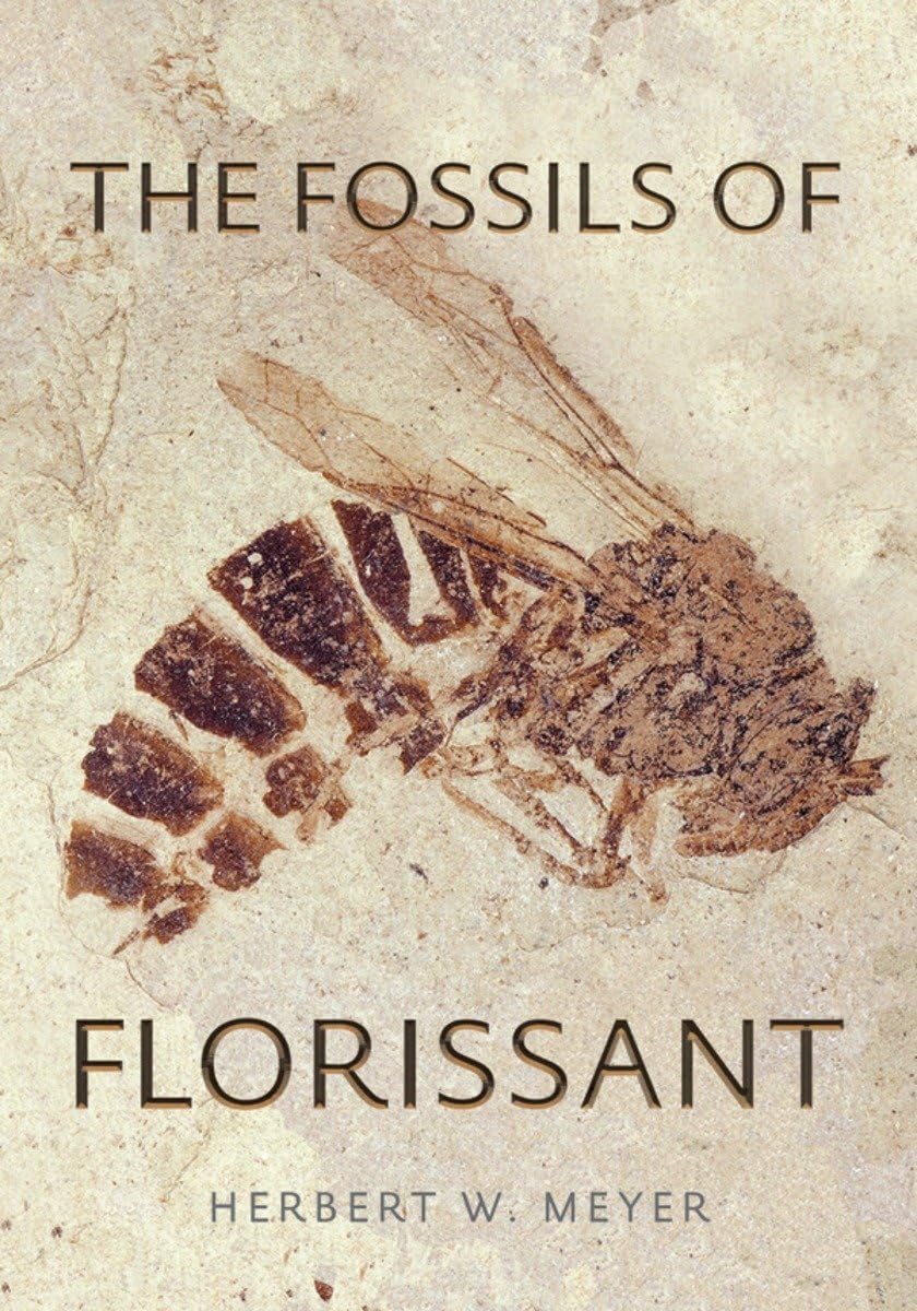 Fossils of Florissant,Used