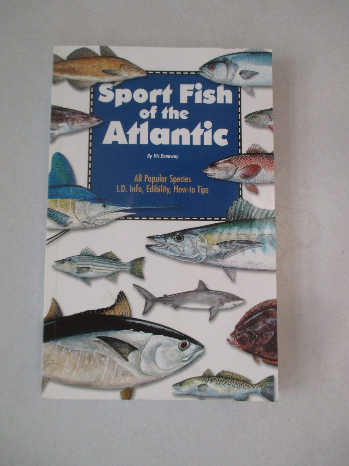 Sport Fish Of The Atlantic