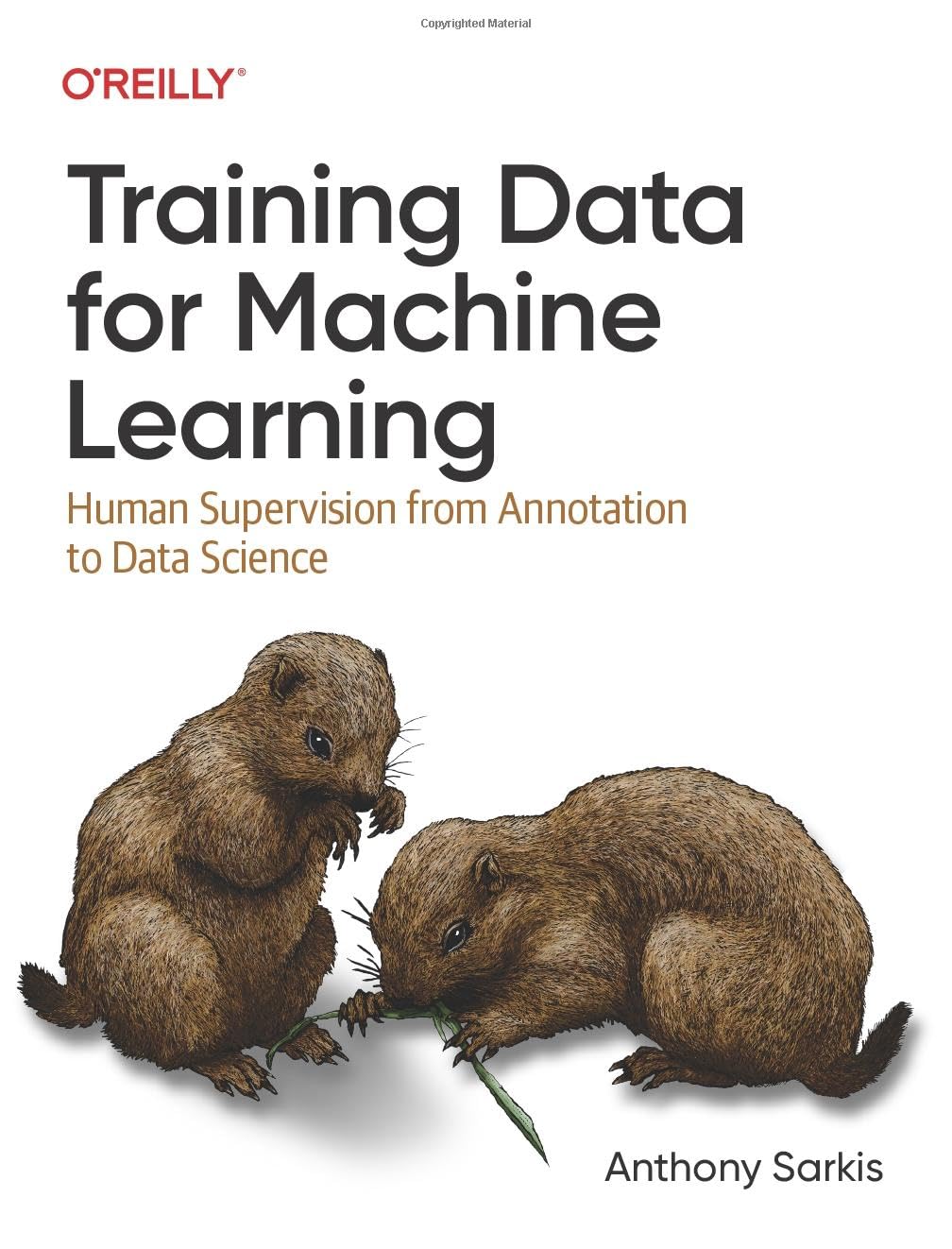 Training Data For Machine Learning: Human Supervision From Annotation To Data Science,Used