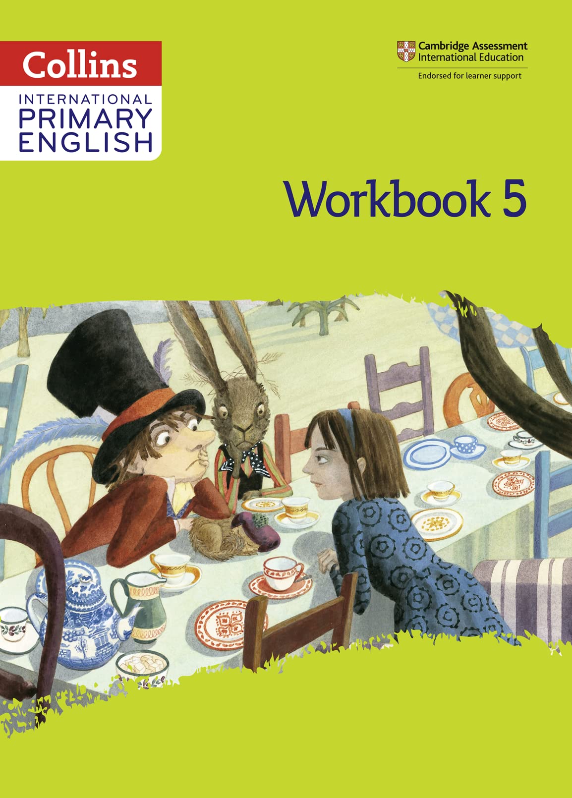 International Primary English Workbook: Stage 5 (Collins International Primary English),Used