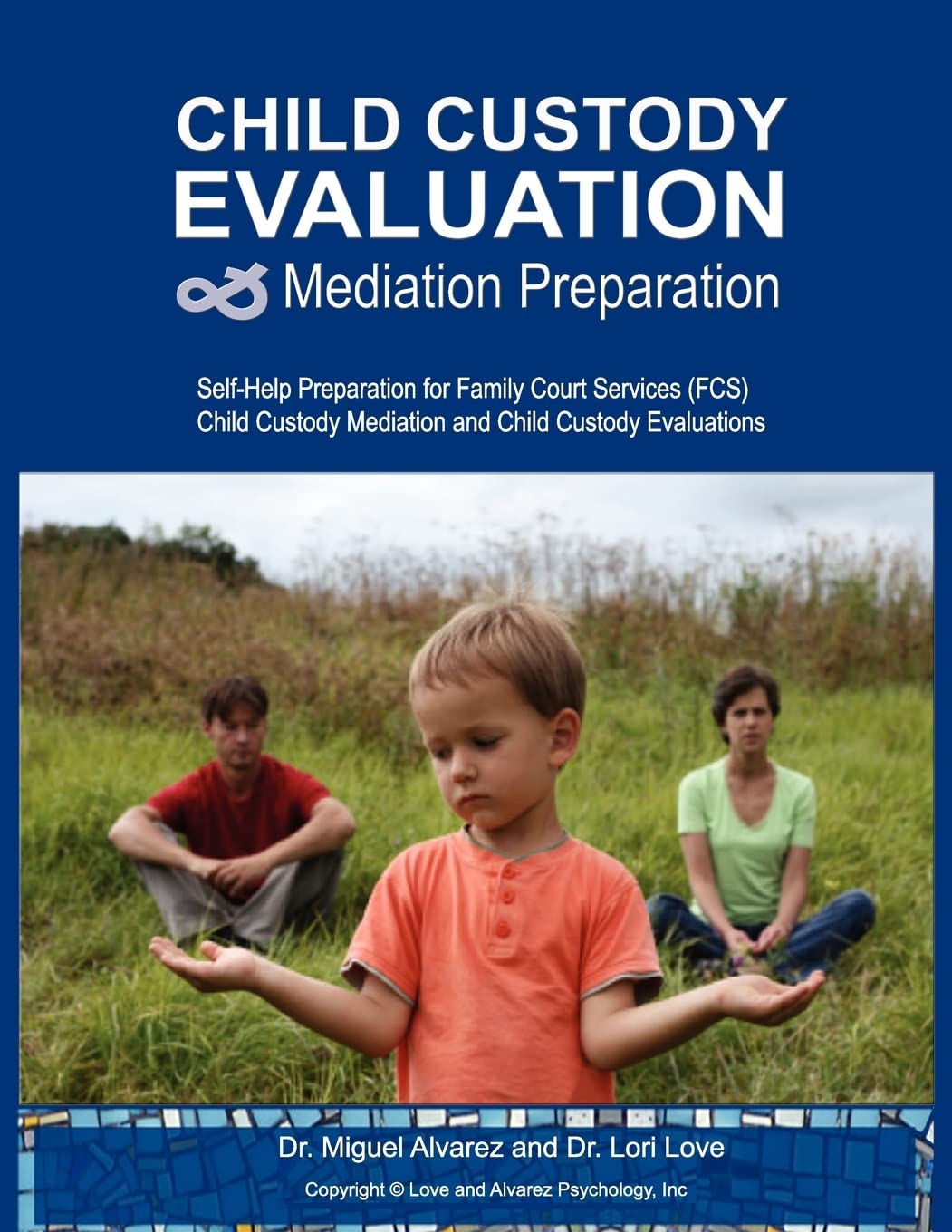 Child Custody Evaluation & Mediation Preparation: Selfhelp Preparation For Family Court Services (Fcs) Child Custody Mediation ,Used