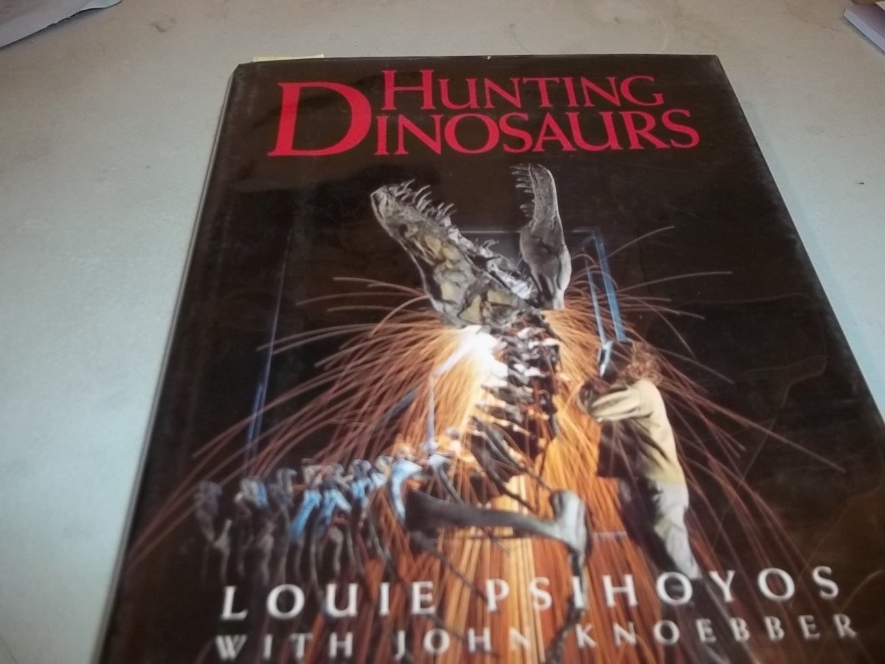 Hunting Dinosaurs,Used