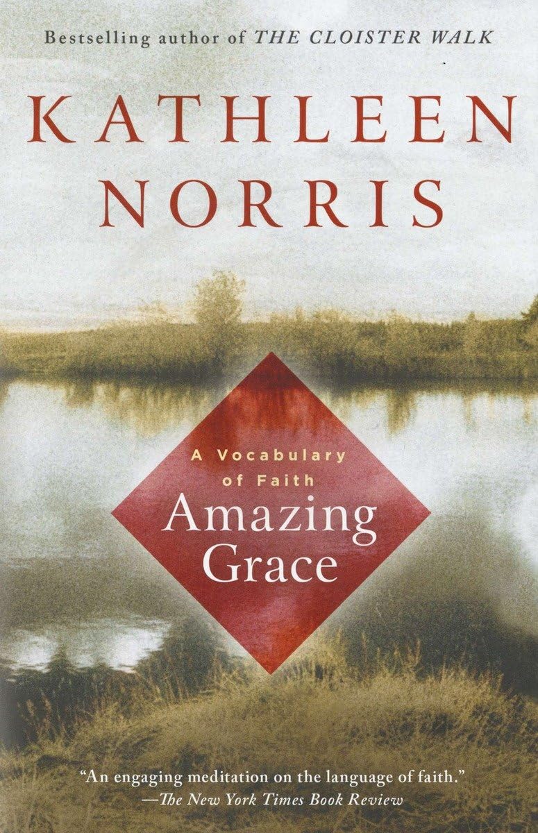 Amazing Grace: A Vocabulary of Faith,Used