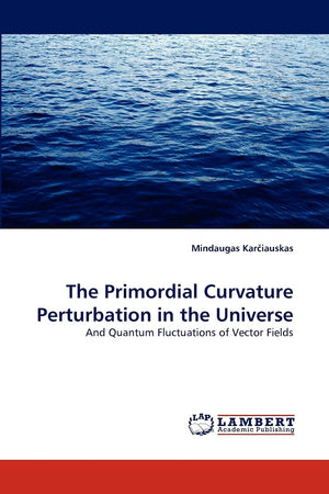 The Primordial Curvature Perturbation in the Universe: And Quantum Fluctuations of Vector Fields,Used