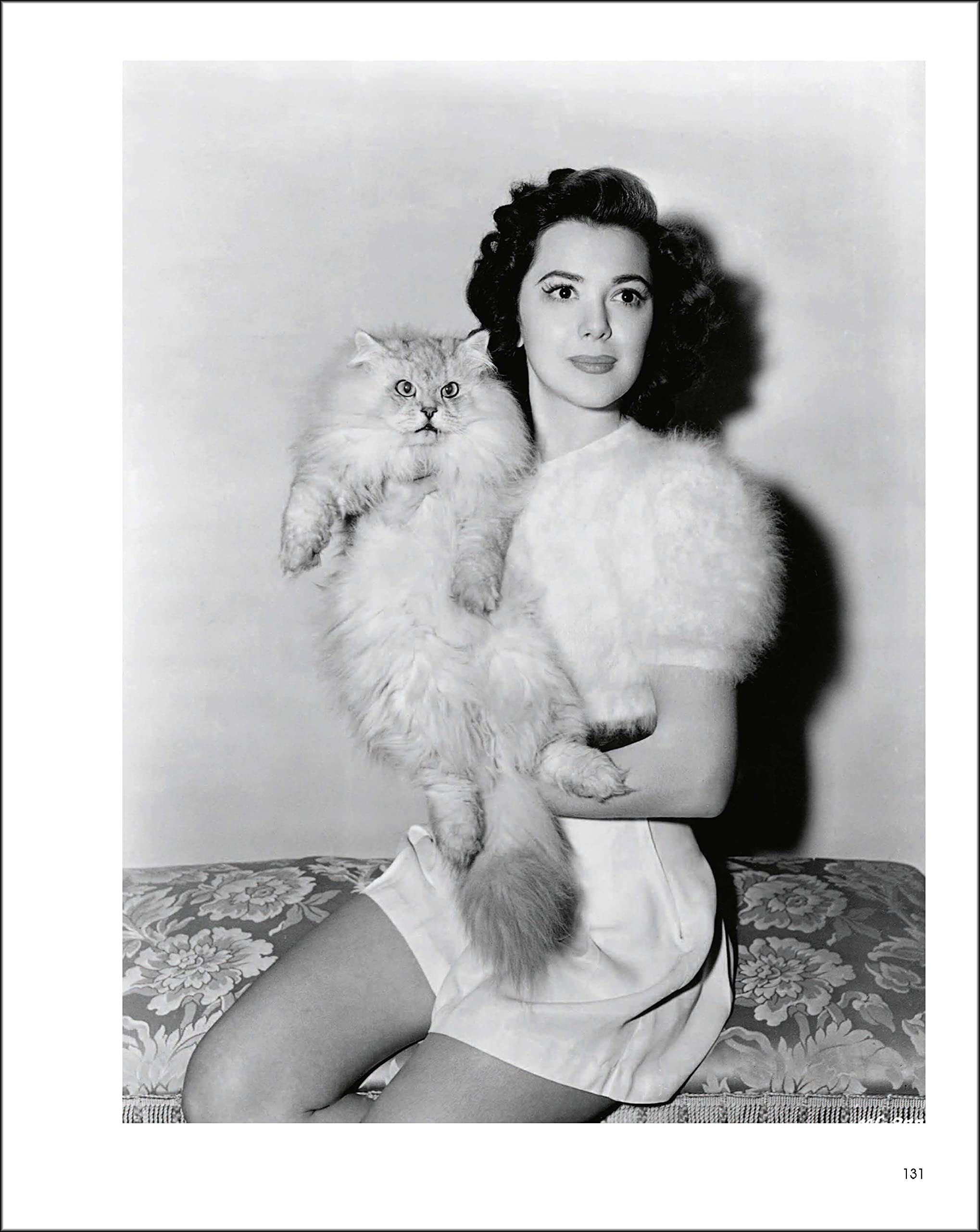 Hollywood Cats: Photographs From the John Kobal Foundation