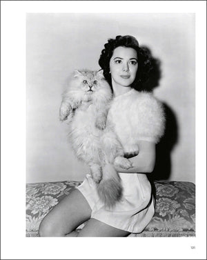 Hollywood Cats: Photographs From the John Kobal Foundation