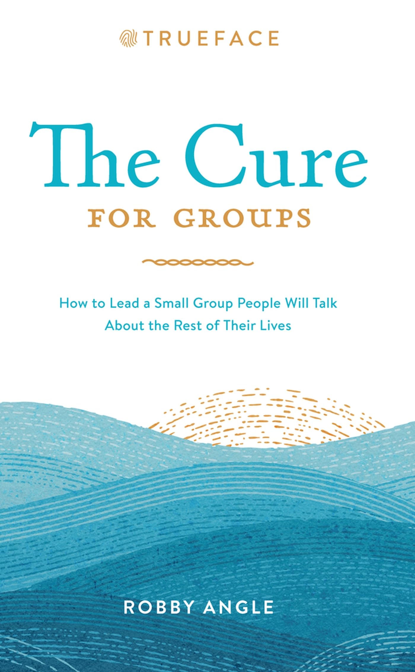 The Cure for Groups: How to Lead a Small Group People Will Talk About the Rest of Their Lives,Used