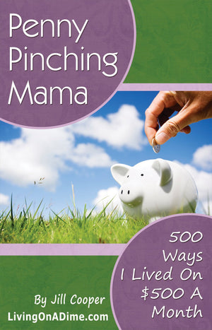 Penny Pinching Mama 500 Ways I Lived on $500 a Month,New