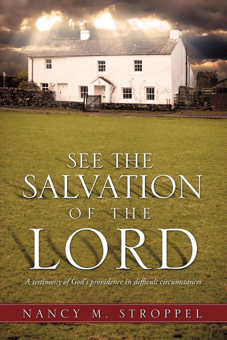 See The Salvation Of The Lord,Used
