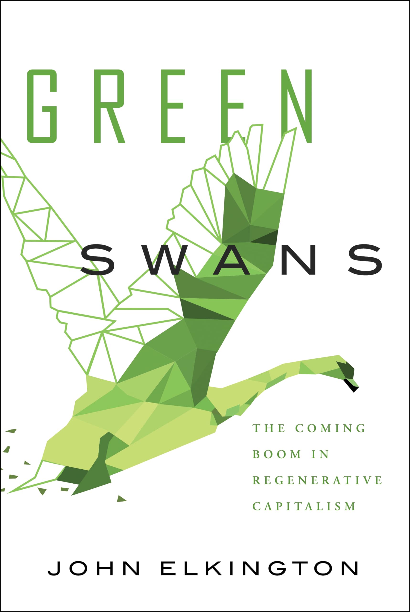 Green Swans: The Coming Boom in Regenerative Capitalism,Used