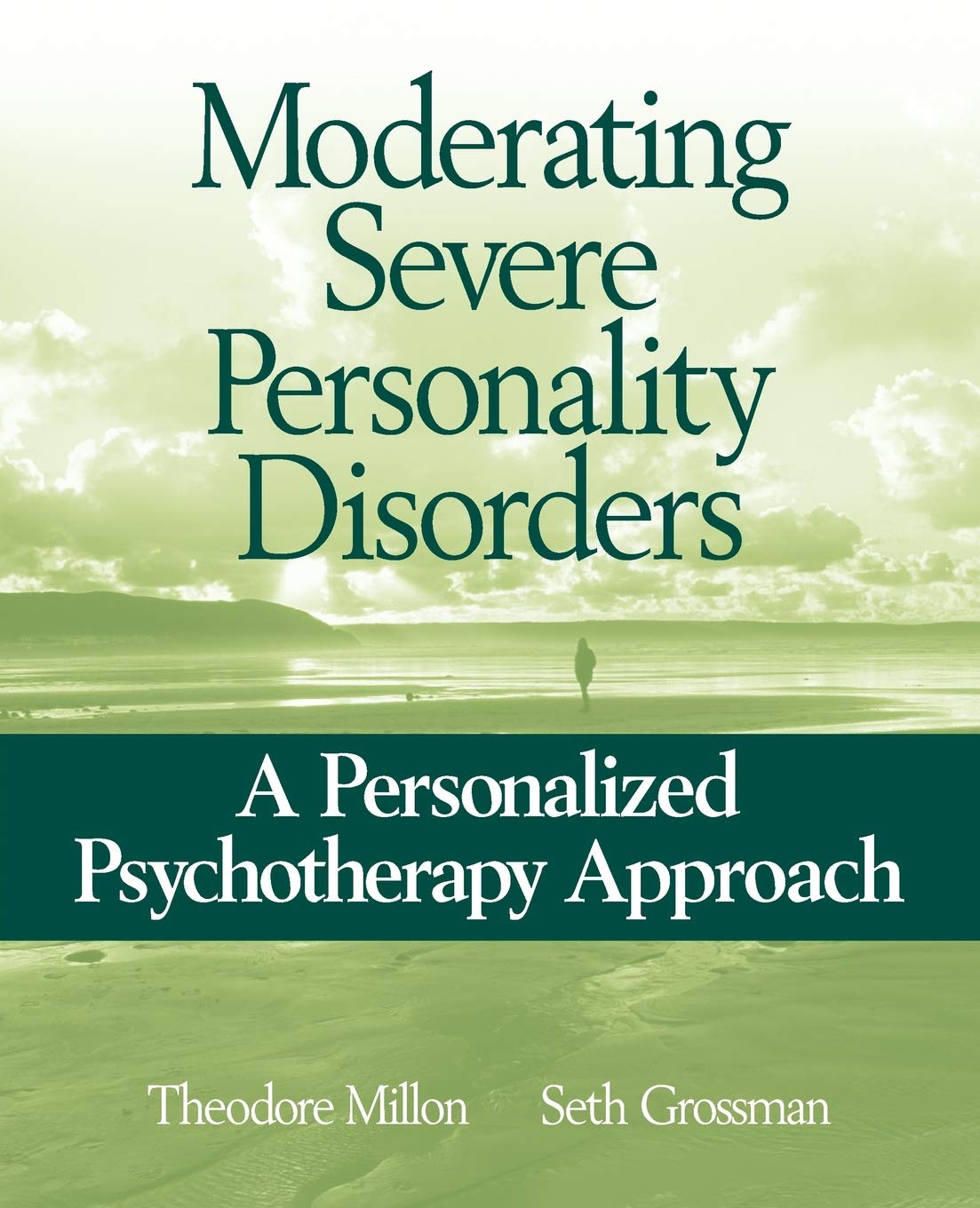 Moderating Severe Personality Disorders: A Personalized Psychotherapy Approach,Used
