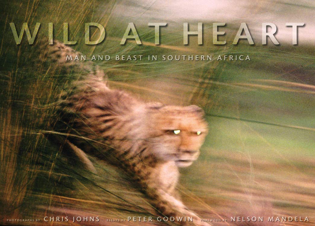 Wild at Heart: Man and Beast in Southern Africa,Used