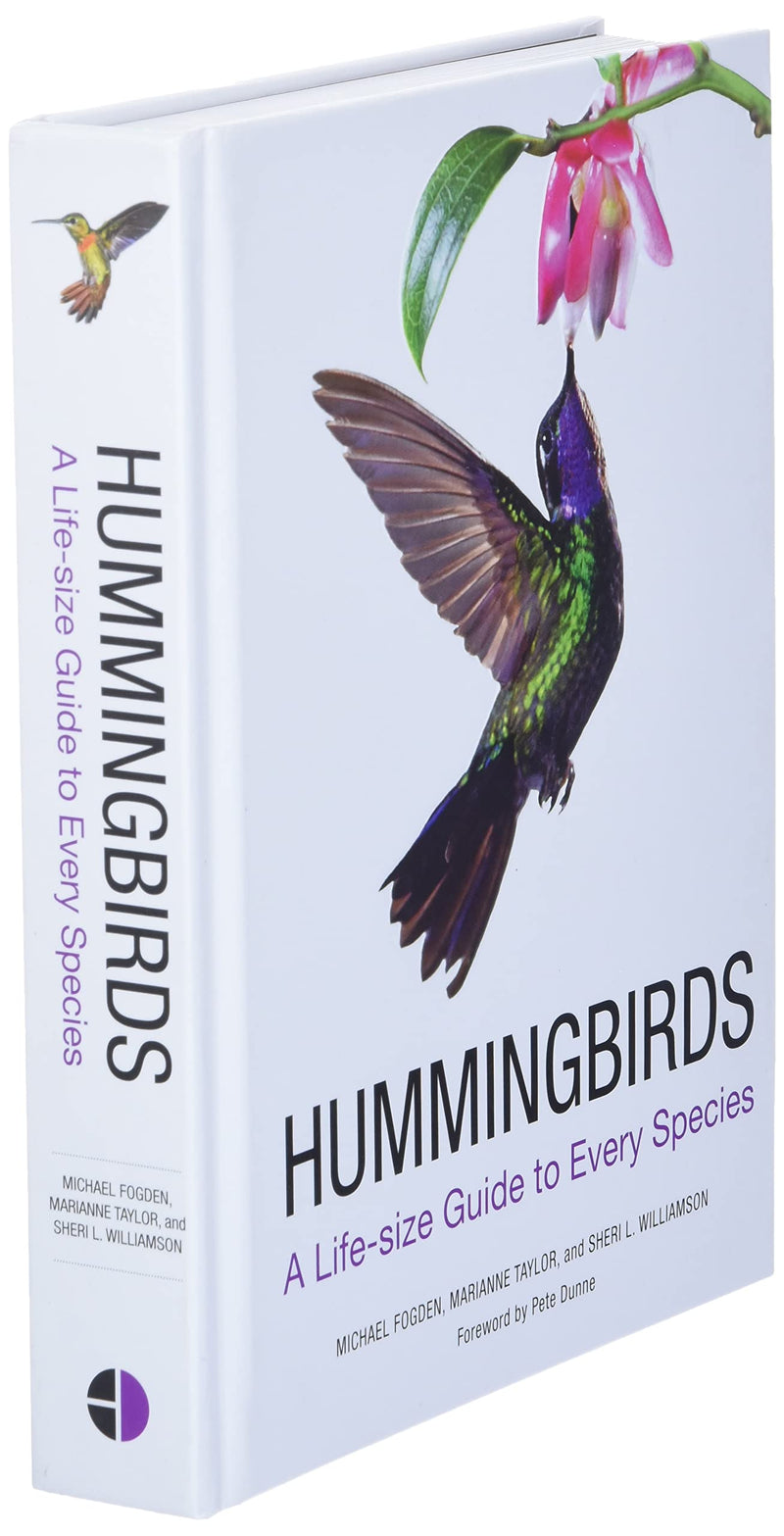 Hummingbirds: A Lifesize Guide to Every Species,New
