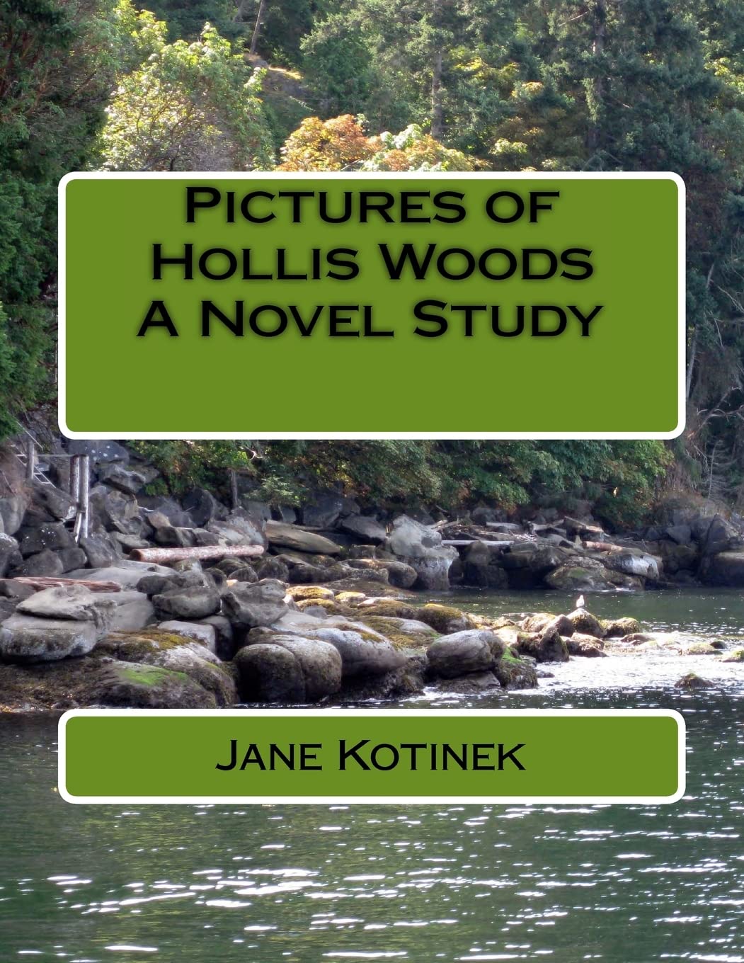 Pictures Of Hollis Woods A Novel Study,Used