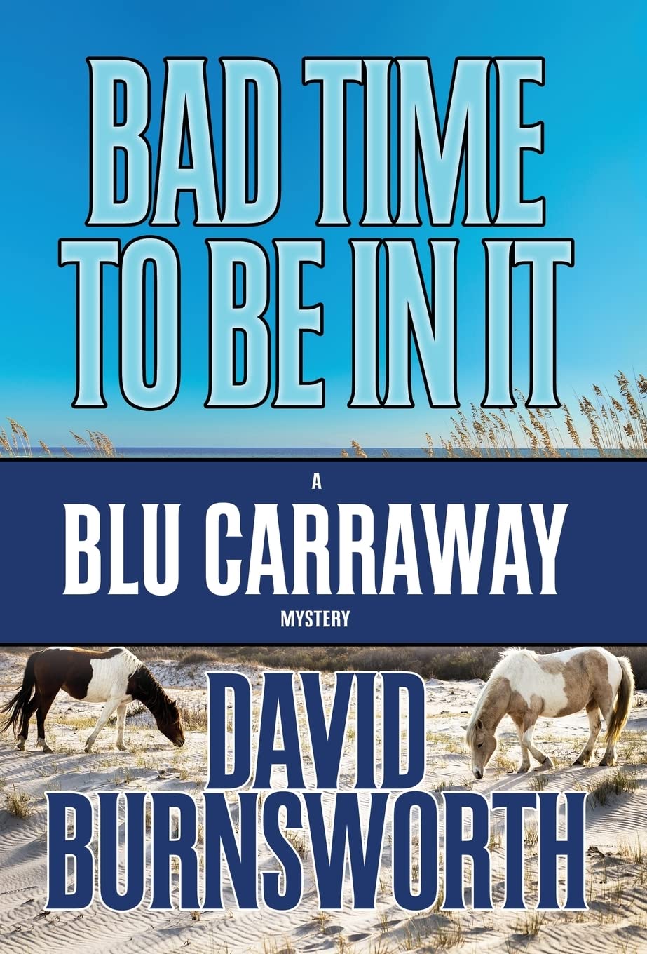Bad Time to Be in It (Blu Carraway Mystery),Used