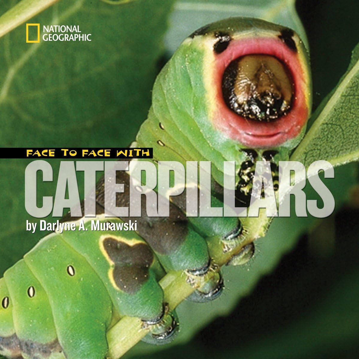 Face to Face with Caterpillars (Face to Face with Animals),Used