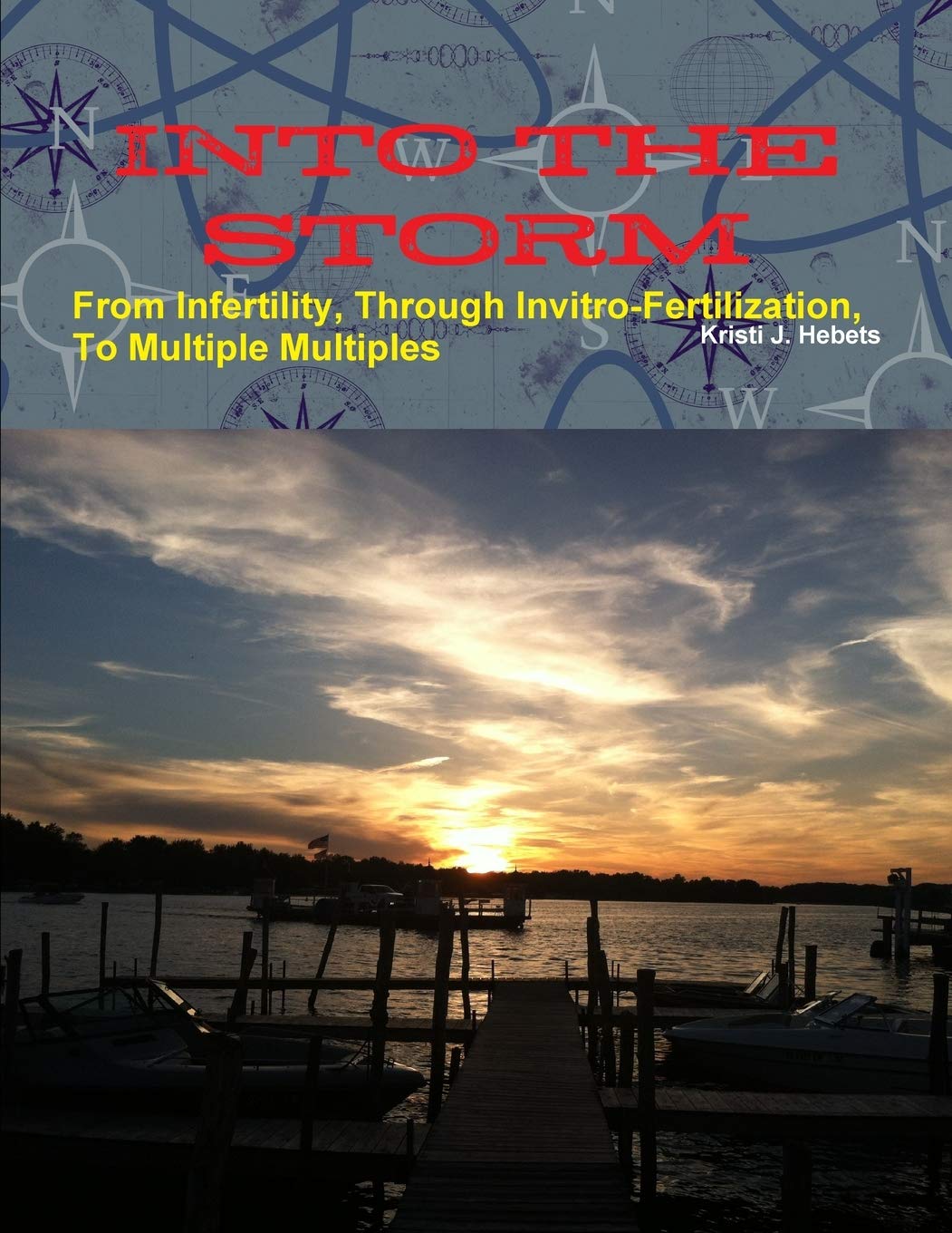 INTO THE STORM From Infertility, Through Invitrofertilization, To Multiple Multiples,Used