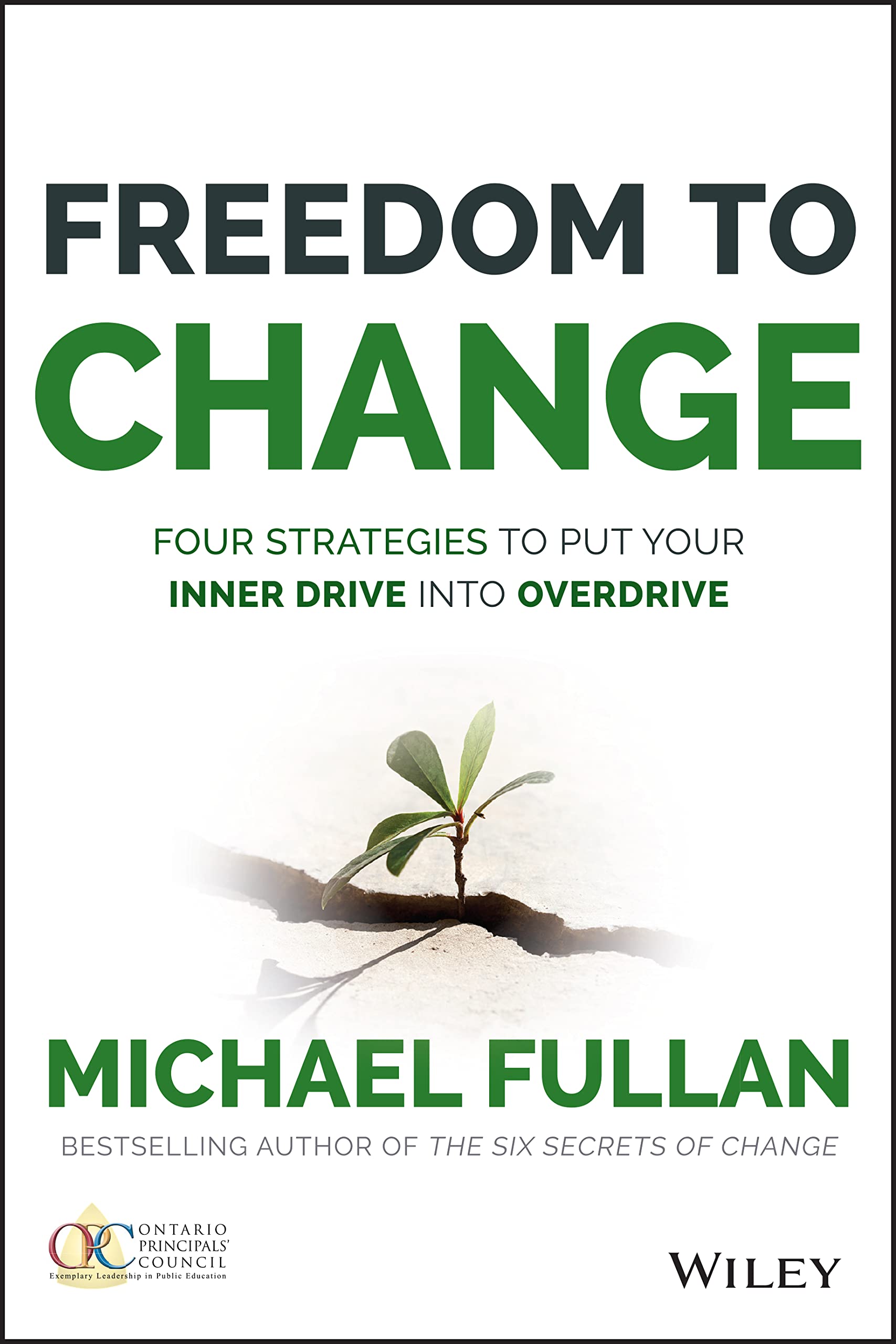 Freedom to Change: Four Strategies to Put Your Inner Drive Into Overdrive,Used