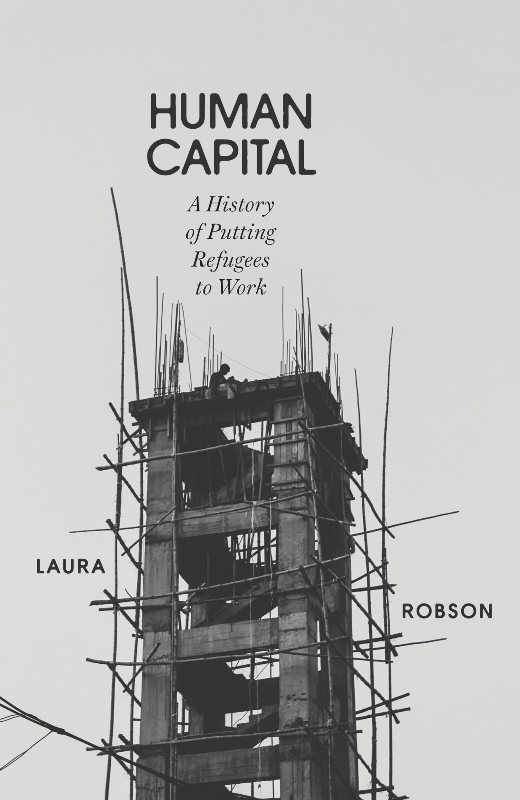 Human Capital: A History Of Putting Refugees To Work,Used