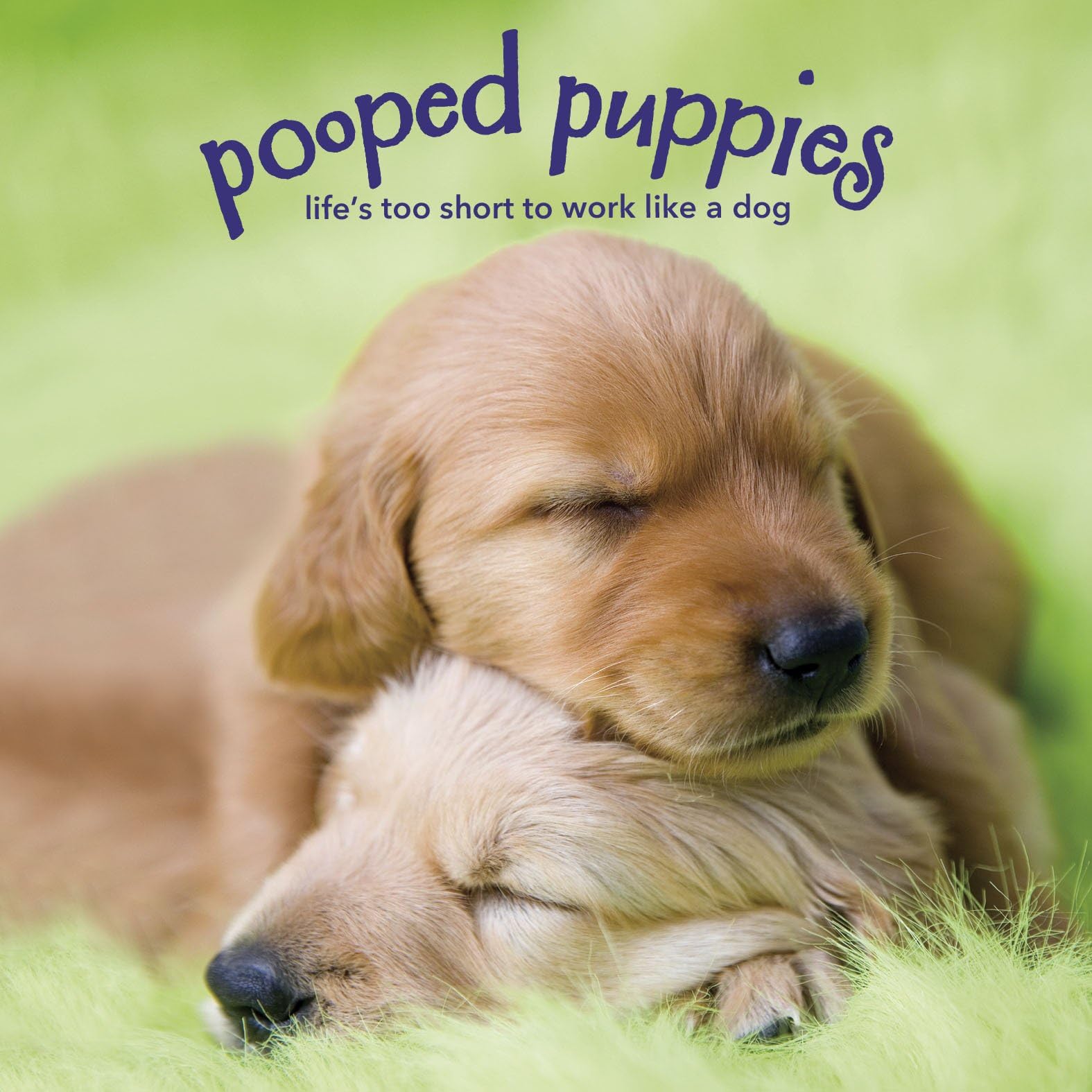Pooped Puppies: Life's Too Short to Work Like a Dog,Used