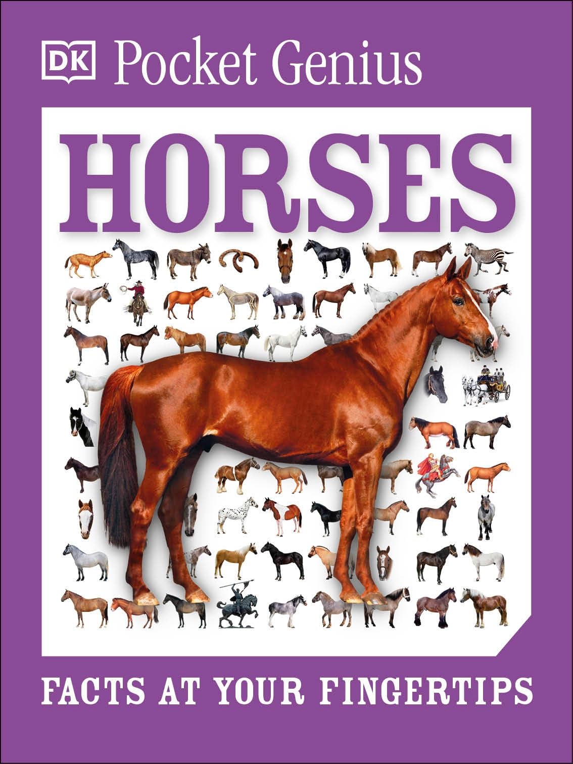 Pocket Genius: Horses: Facts at Your Fingertips,New
