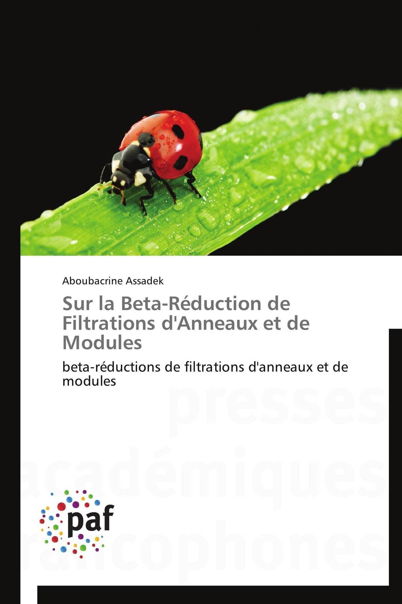 Sur la BetaRduction de Filtrations d'Anneaux et de Modules: betarductions de filtrations d'anneaux et de modules (Omn.Pres,Used