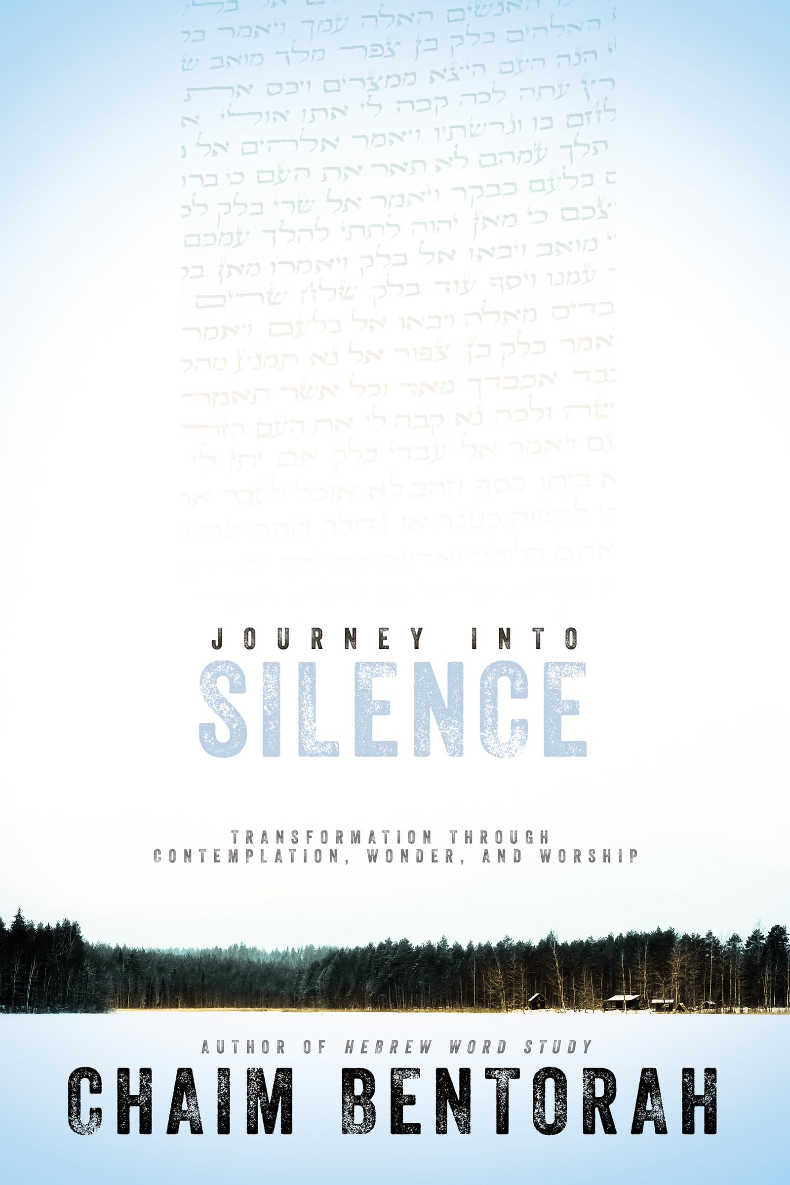 Journey into Silence: Transformation Through Contemplation, Wonder, and Worship (Hebrew Word Study),Used