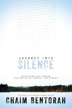 Journey into Silence: Transformation Through Contemplation, Wonder, and Worship (Hebrew Word Study),Used