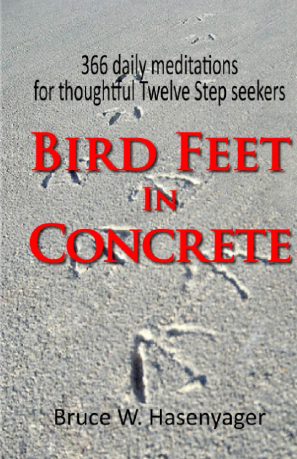Bird Feet In Concrete:366 daily meditations for thoughtful Twelve Step seekers,Used