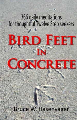 Bird Feet In Concrete:366 daily meditations for thoughtful Twelve Step seekers,Used